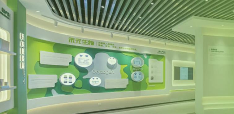 禾元生物科创板上市